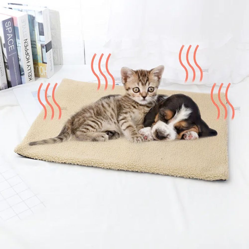 a couple of cats laying on top of a blanket 