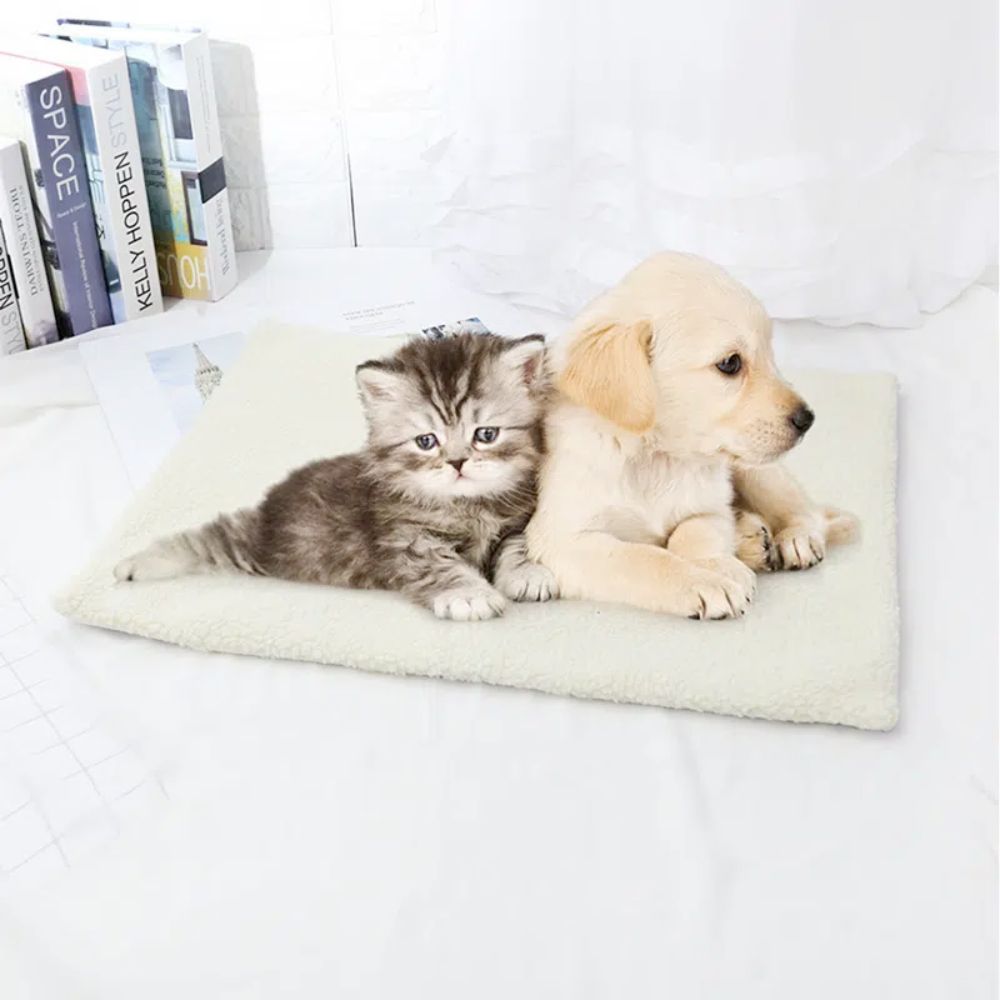 a couple of cats sitting on top of a white blanket 