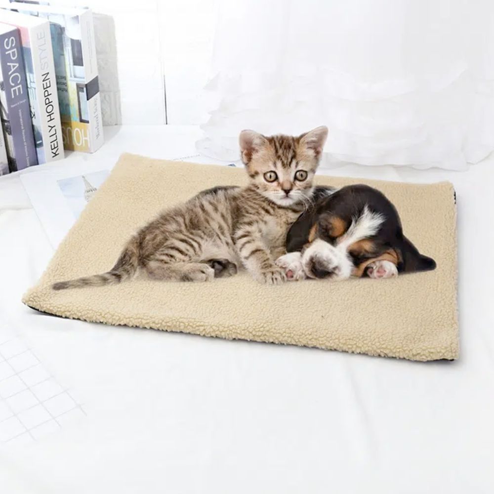 a couple of cats laying on top of a blanket 