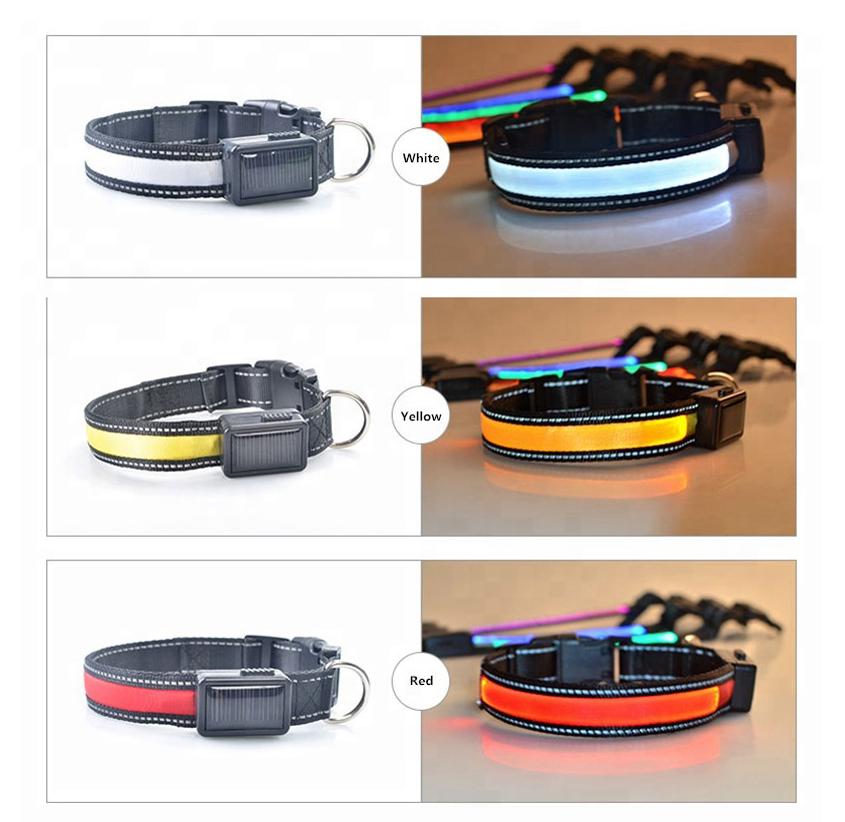 USB and Solar Charge Reflective Led Dog Collar & Lead