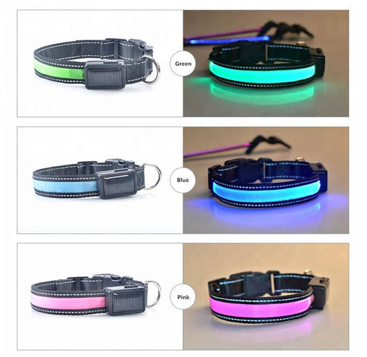 USB and Solar Charge Reflective Led Dog Collar & Lead