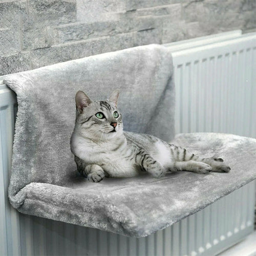 a cat sitting on top of a couch 