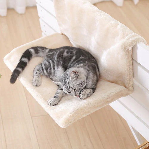 a cat laying on a piece of paper 