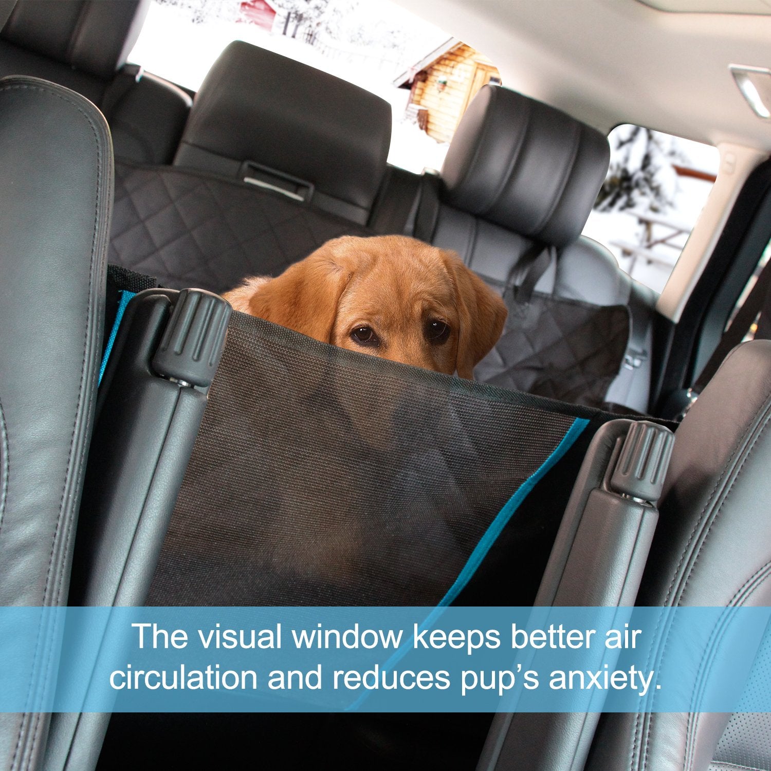 a dog sitting in the back seat of a car 