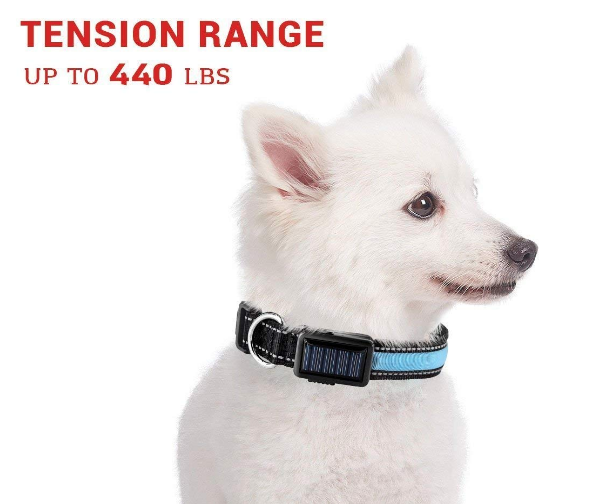 USB and Solar Charge Reflective Led Dog Collar & Lead