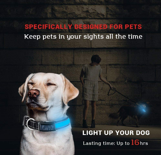 USB and Solar Charge Reflective Led Dog Collar & Lead