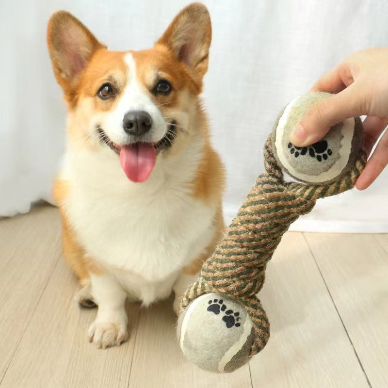 a small dog sitting next to a persons leg 