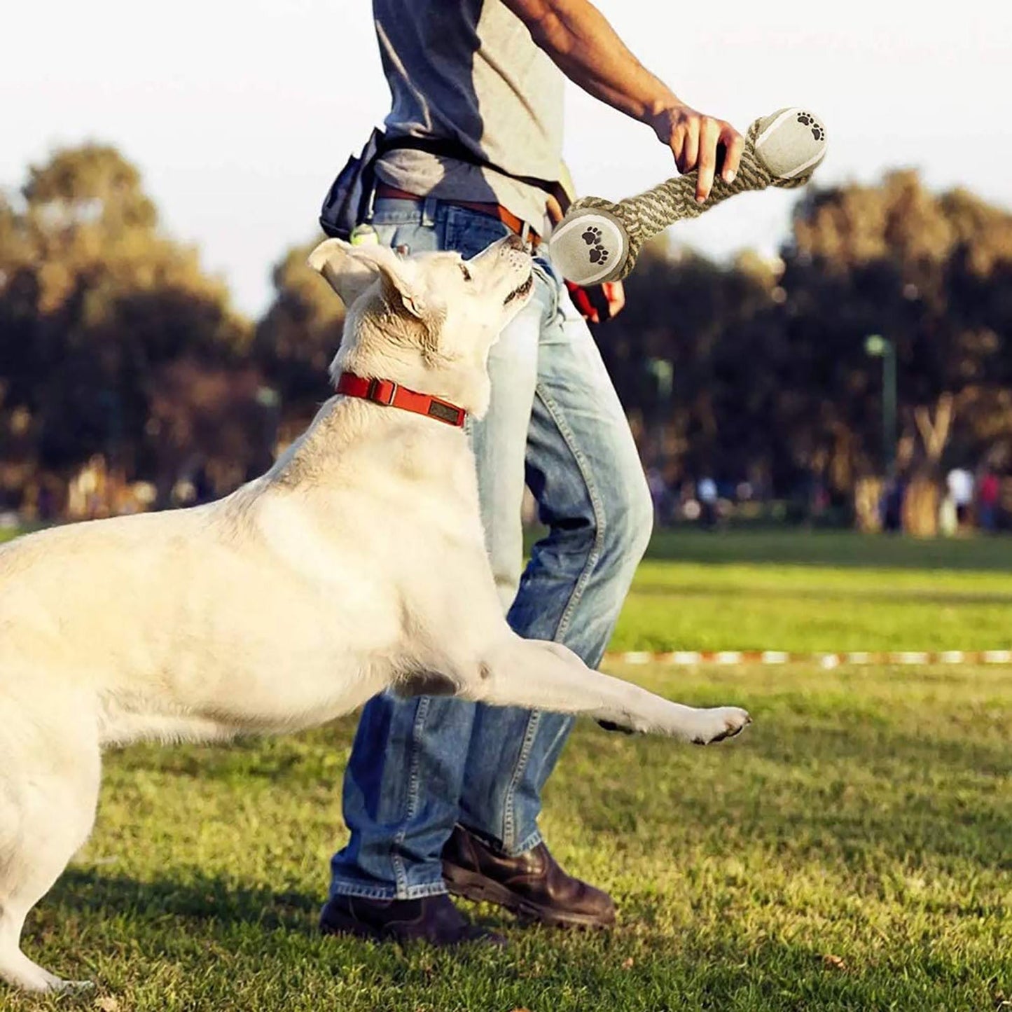 a man standing next to a white horse 