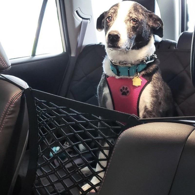 a dog sitting in the back seat of a car 