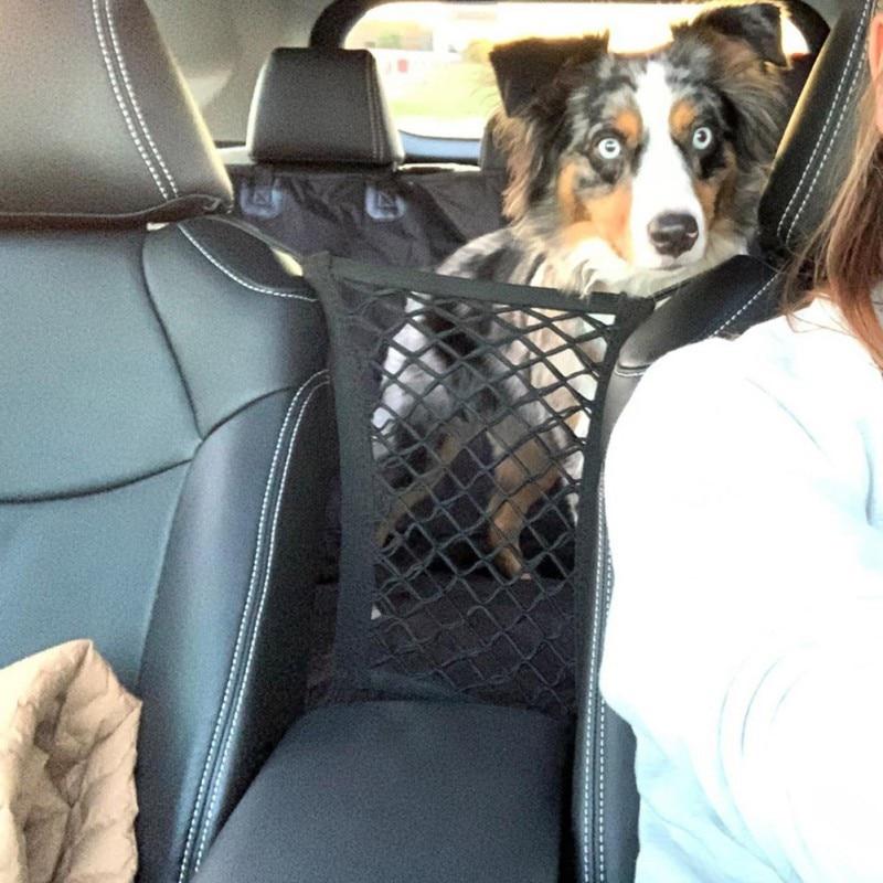 a dog that is sitting in a car 