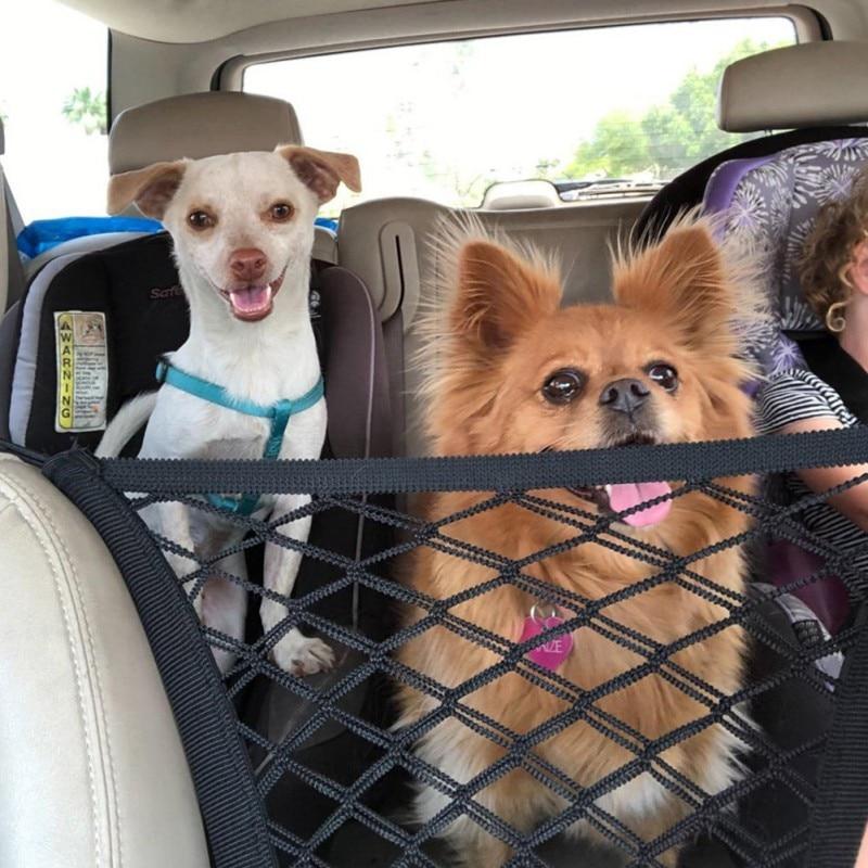 a small dog sitting in the back of a car 