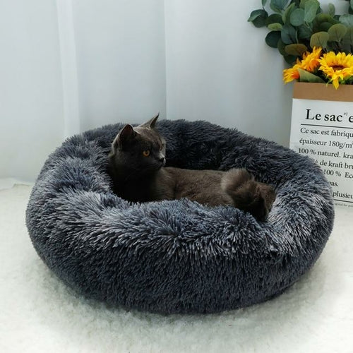 Plush cat bed/house.